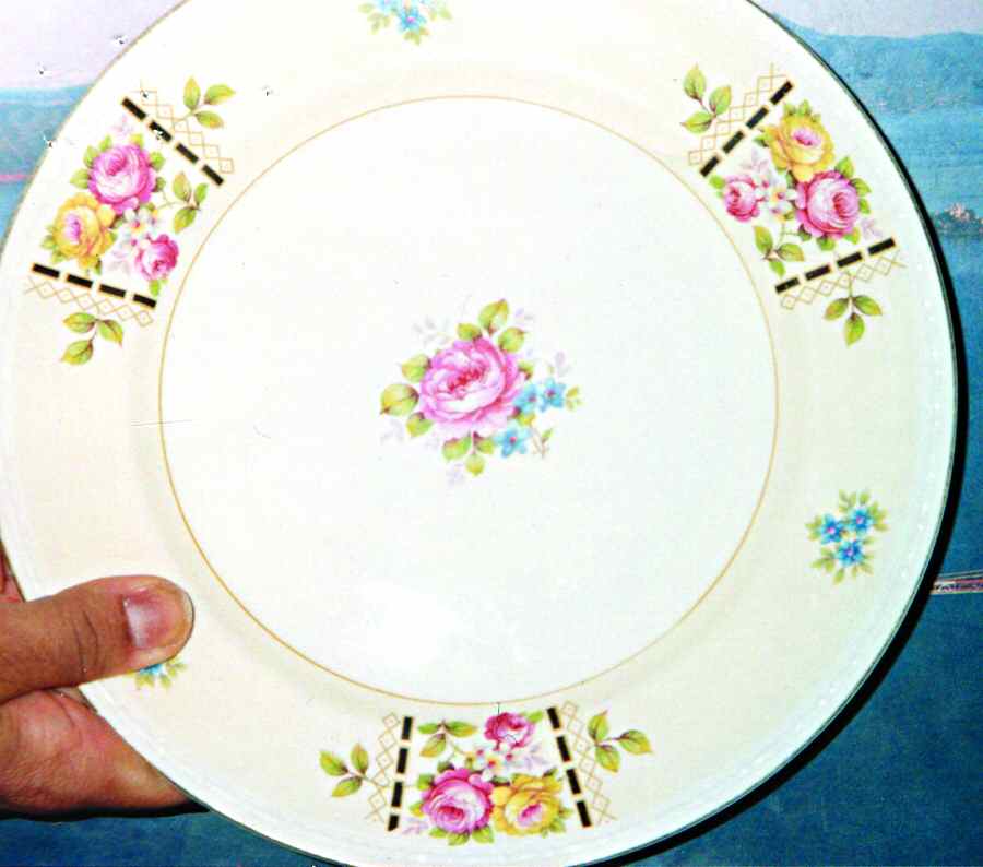 HLC2547 Luncheon Plate by Homer Laughlin -1