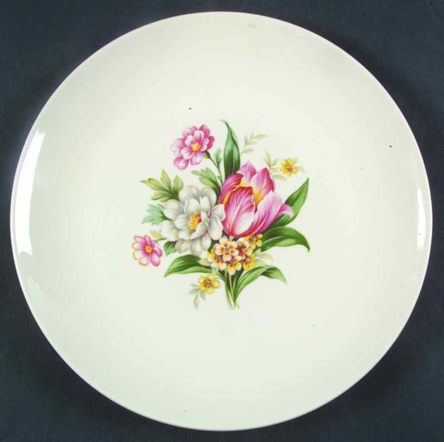 HLC3195 Dinner Plate by Homer Laughlin -1