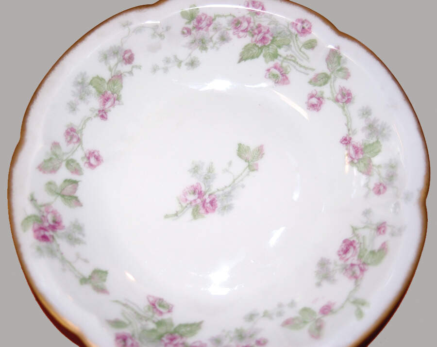 H3606 Fruit/Dessert (Sauce) Bowl by Haviland-1