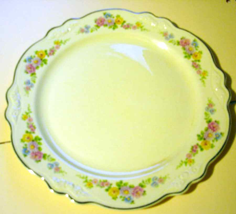 HLC3702 Dinner Plate by Homer Laughlin -1
