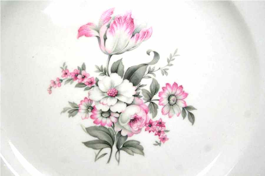 HLC2587 Dinner Plate by Homer Laughlin -1