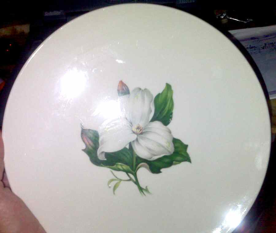 HLC3743 Dinner Plate by Homer Laughlin -1
