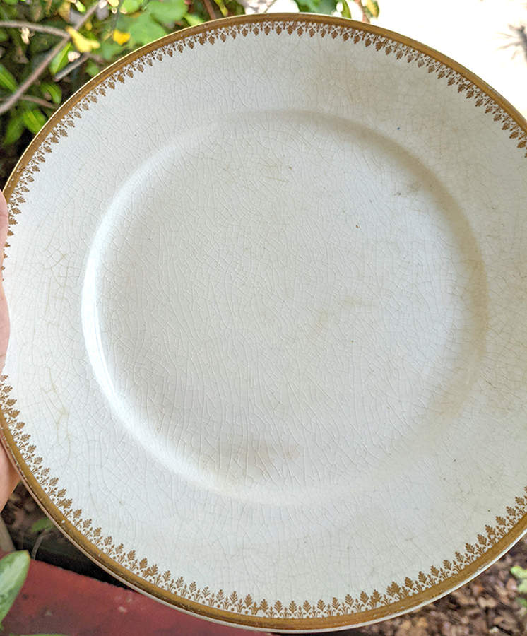 HLC3754 Dinner Plate by Homer Laughlin -1