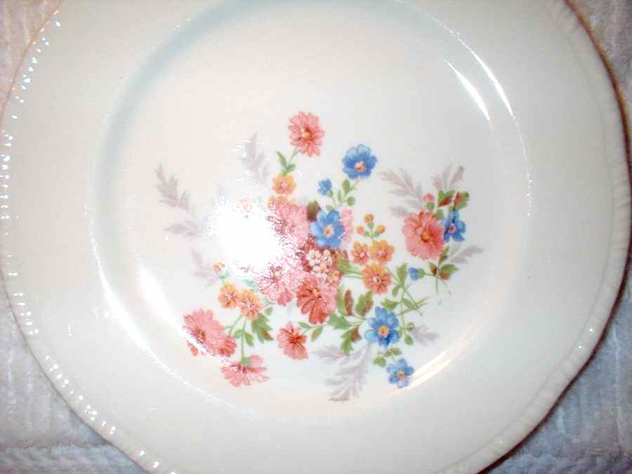 HLC2616 Dinner Plate by Homer Laughlin -1