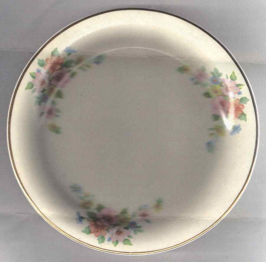 HLC3837 Dinner Plate by Homer Laughlin -1