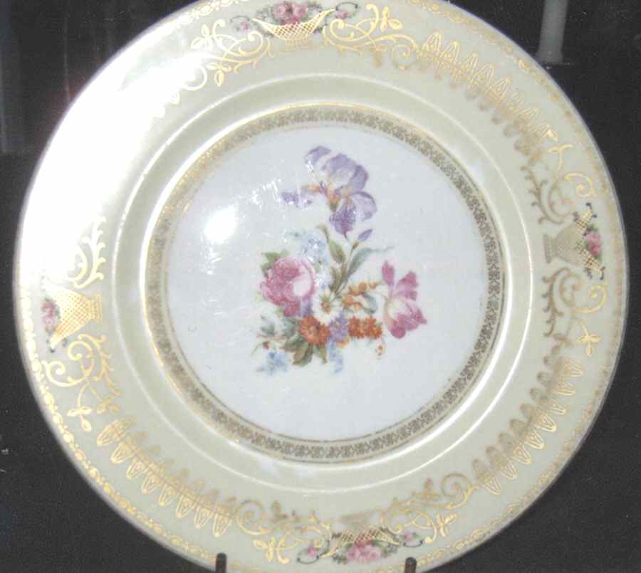 9116A Dinner Plate by Heinrich - H&C-1