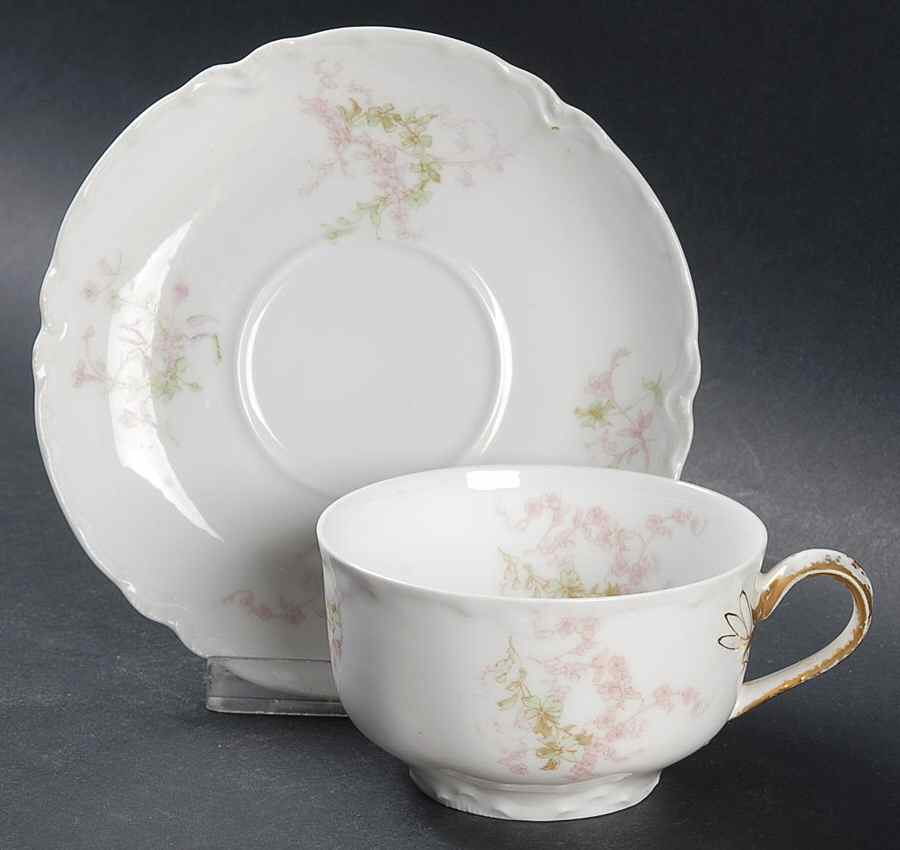 Schleiger 1169-6 Flat Cup & Saucer Set by Haviland-1