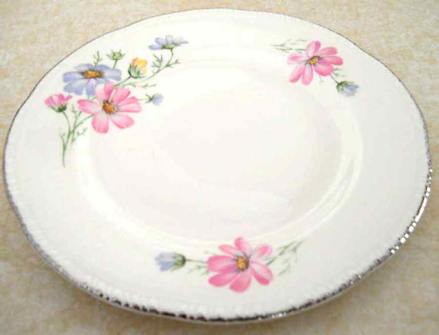 HLC3856 Dinner Plate by Homer Laughlin -1