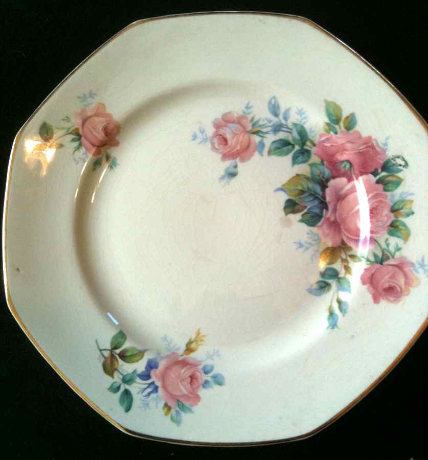 HLC3879 Dinner Plate by Homer Laughlin -1