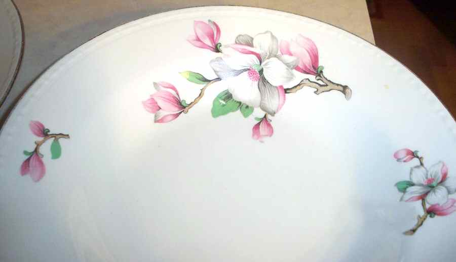 HLC2641 Rim Soup Bowl by Homer Laughlin -1