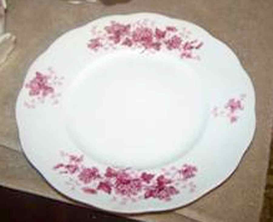 HLC3912 Dinner Plate by Homer Laughlin -1
