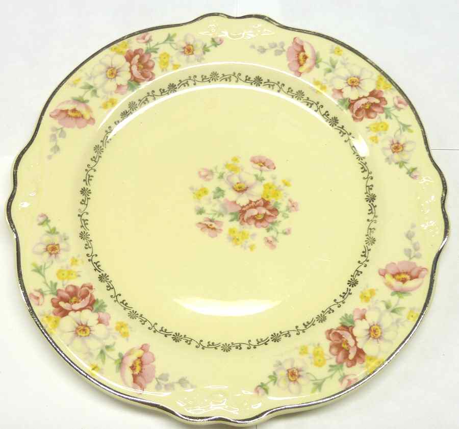 HLC3913 Dinner Plate by Homer Laughlin -1