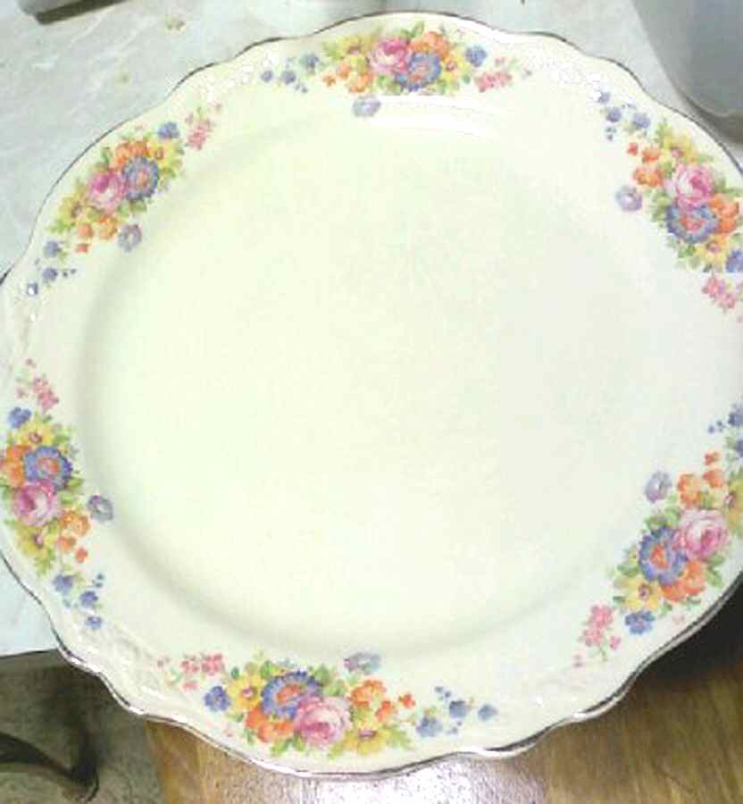 HLC2668 Dinner Plate by Homer Laughlin -1