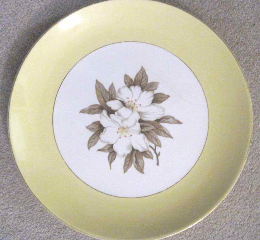 HLC3994 Dinner Plate by Homer Laughlin -1