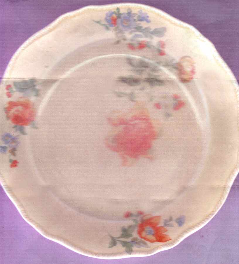 HLC4018 Dinner Plate by Homer Laughlin -1