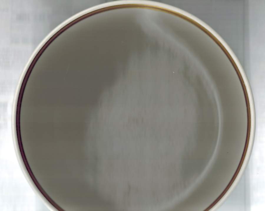 HLC4031 Dinner Plate by Homer Laughlin -1