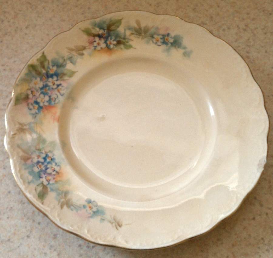 HLC4034 Dinner Plate by Homer Laughlin -1