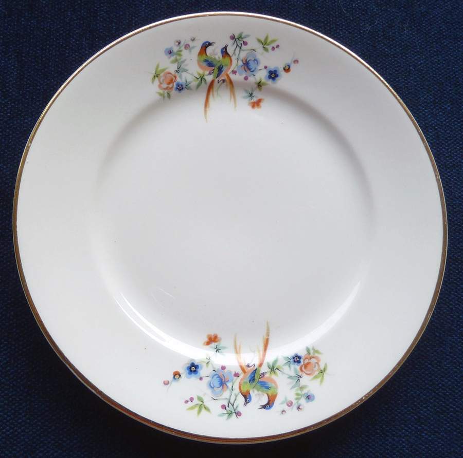 HLC2730 Dinner Plate by Homer Laughlin -1