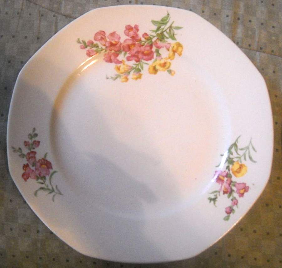 HLC4146 Dinner Plate by Homer Laughlin -1