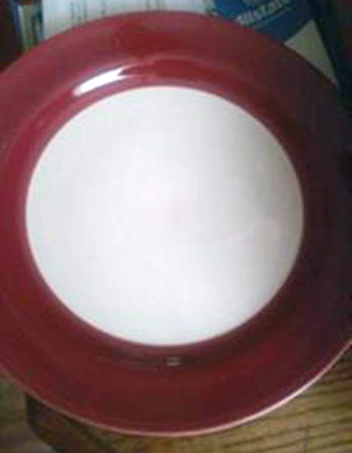 HLC4151 Dinner Plate by Homer Laughlin -1