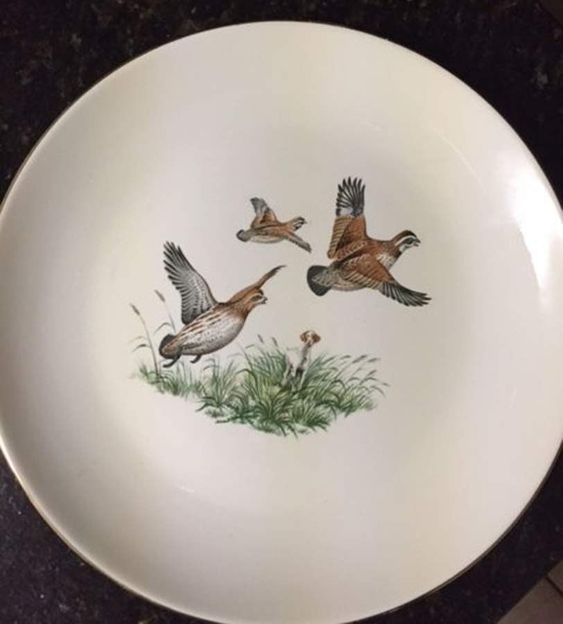 HLC4166 Dinner Plate by Homer Laughlin -1