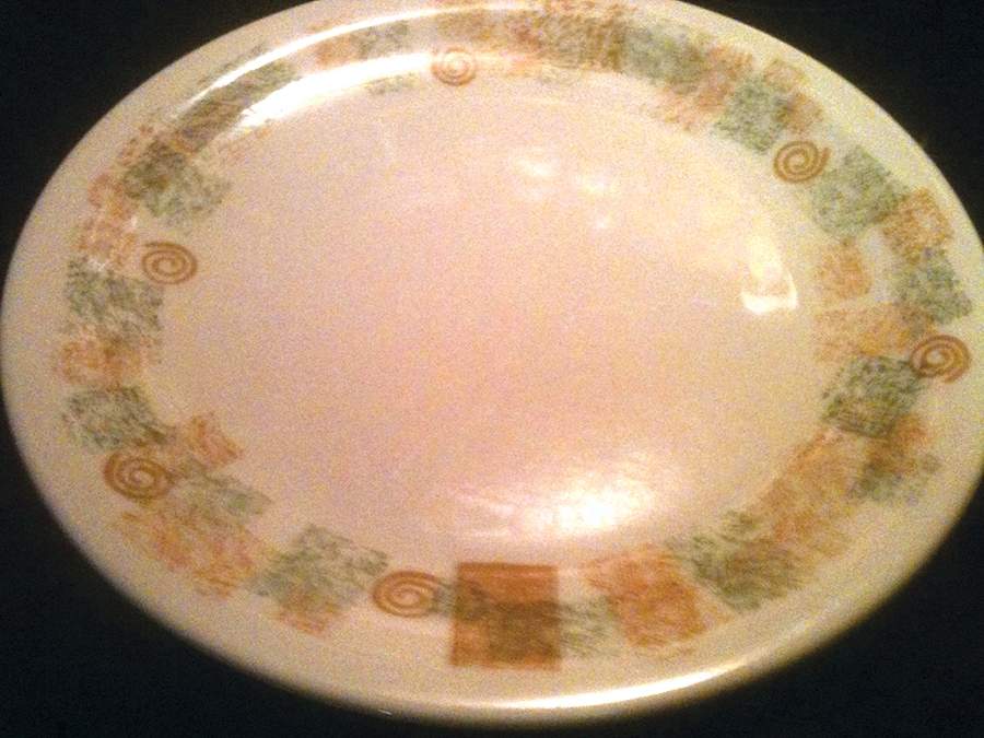 HLC3205 Dinner Plate by Homer Laughlin -1