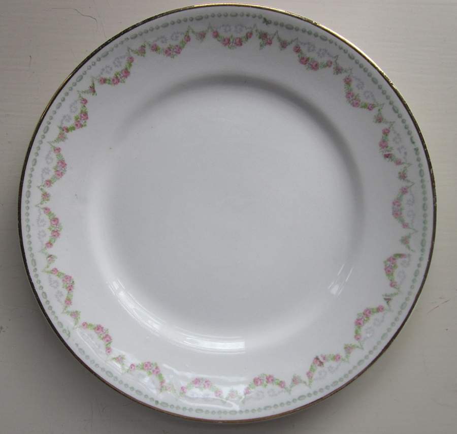 HLC2754 Dinner Plate by Homer Laughlin -1