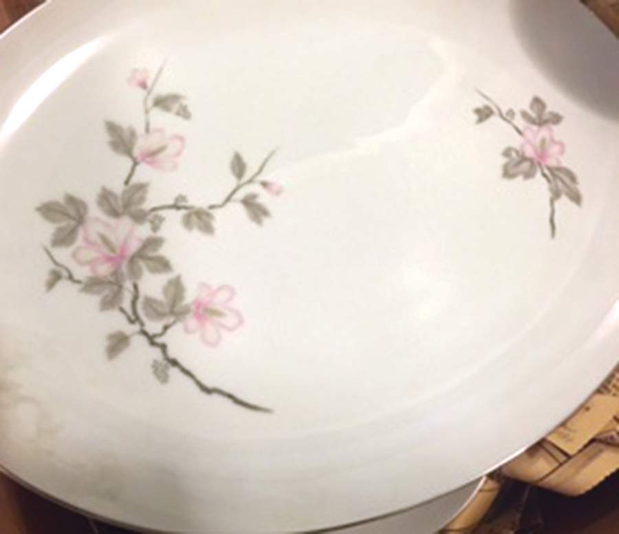 HCA1 Dinner Plate by House of China-1