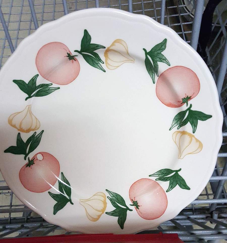 HLC2502 Scalloped Dinner Plate by Homer Laughlin -1