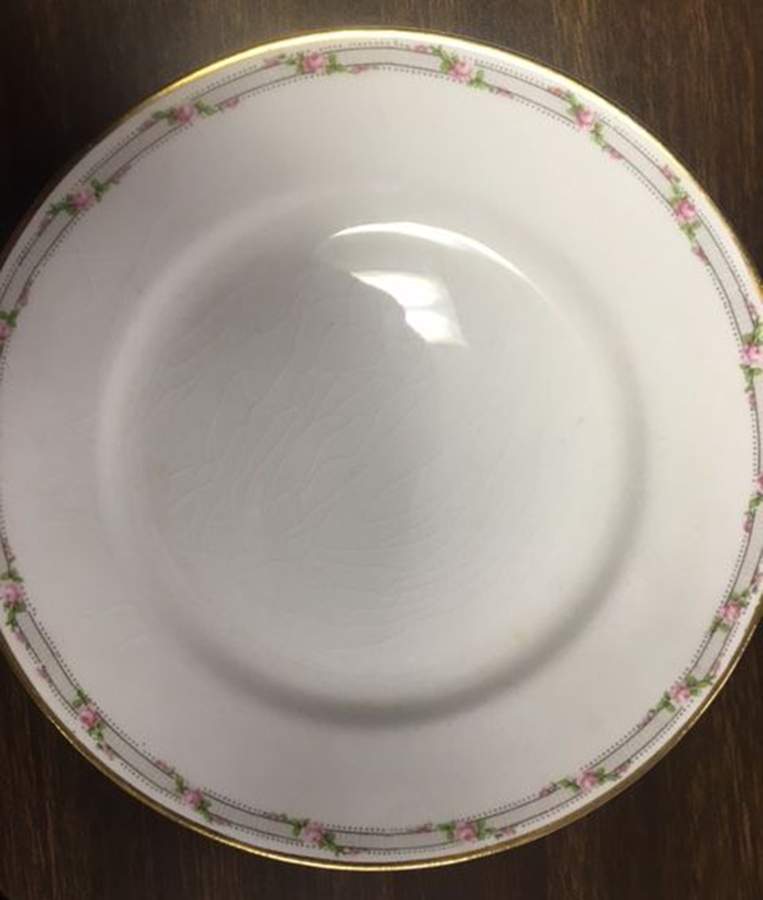 HLC4217 Dinner Plate by Homer Laughlin -1