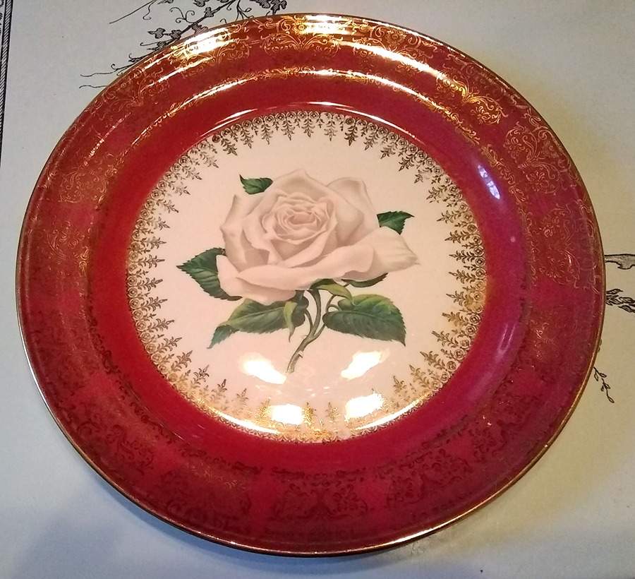 HLC4246 Dinner Plate by Homer Laughlin -1
