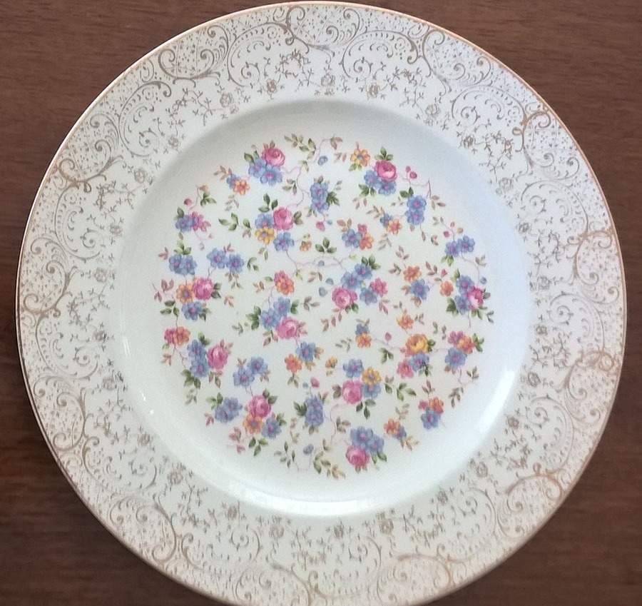 HLC2763 Dinner Plate by Homer Laughlin -1