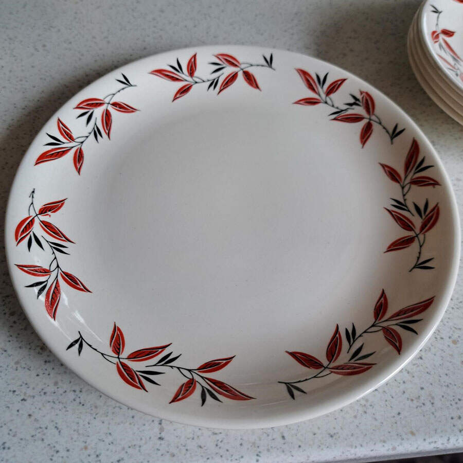 HAY38 Dinner Plate by H Aynsley & Co-1