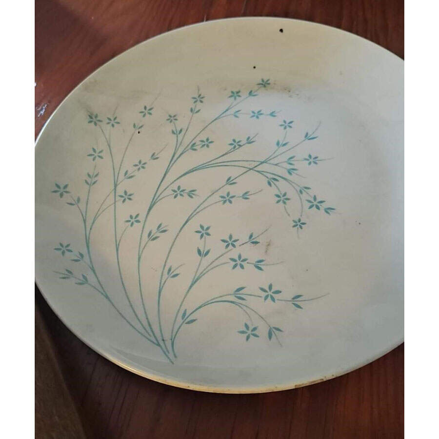 HLC4299 Dinner Plate by Homer Laughlin -1
