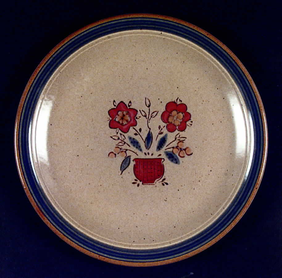 Frontier Dinner Plate by International-1