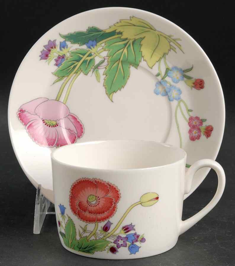 Palace Garden Flat Cup & Saucer Set by International-1