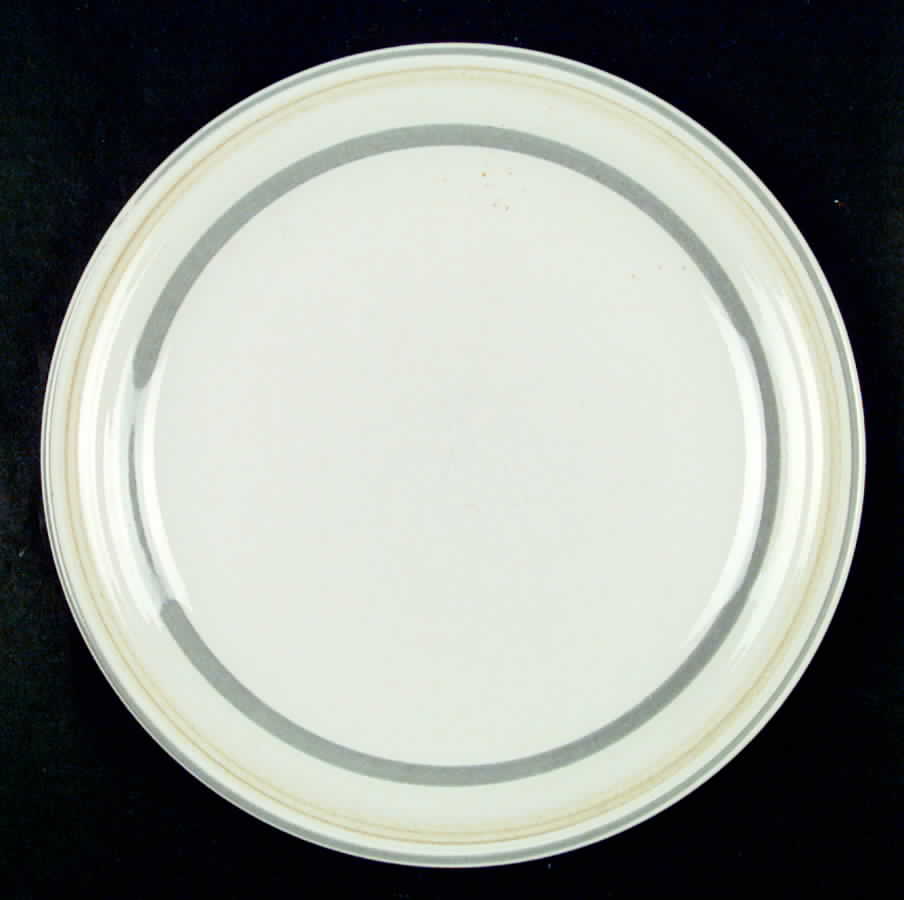 Quarry Dinner Plate by International-1