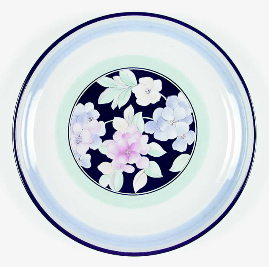 Soft Focus Dinner Plate by International-1
