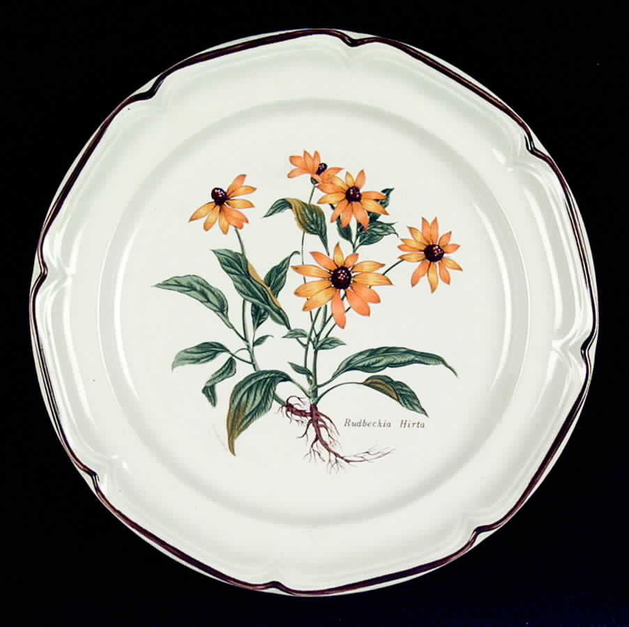 Susan Dinner Plate by International-1
