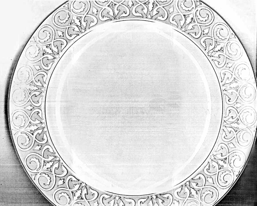 Shalimar Dinner Plate by International Fine China-1