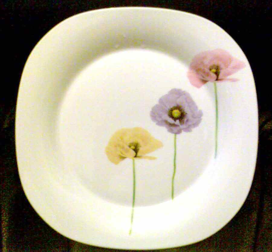 IEC12 Dinner Plate by Inhesion-1