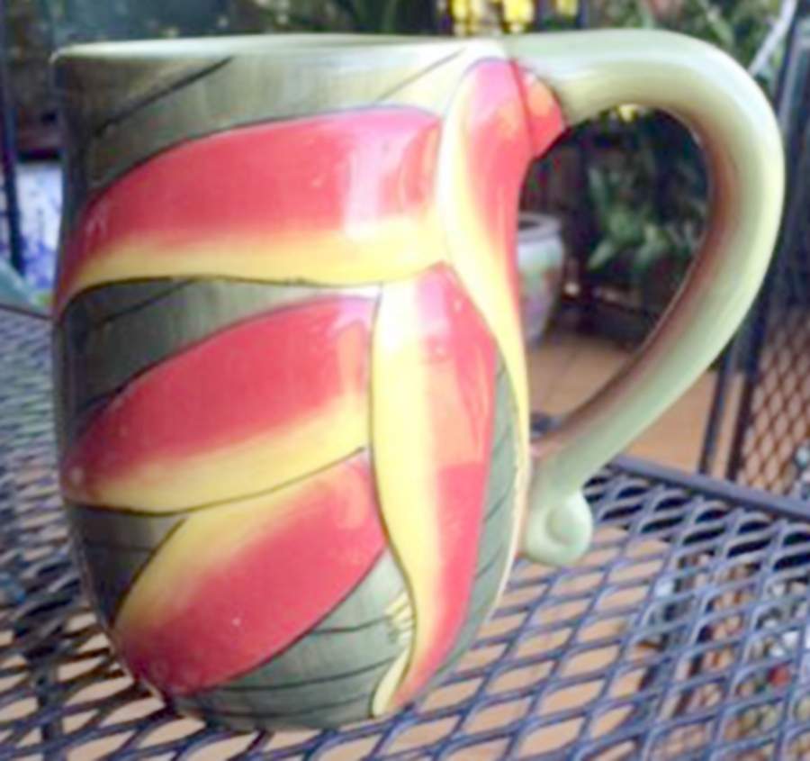 IPN1 Mug by Island Plantations-1