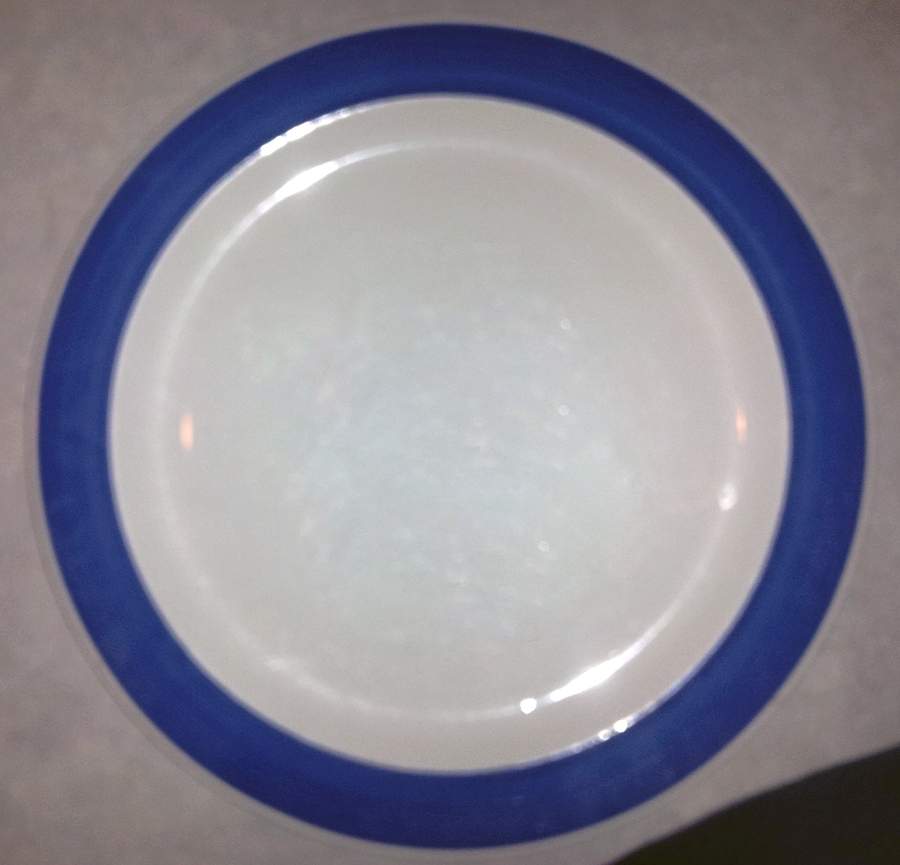 IBJ10 Dinner Plate by IDE Brothers Japan-1