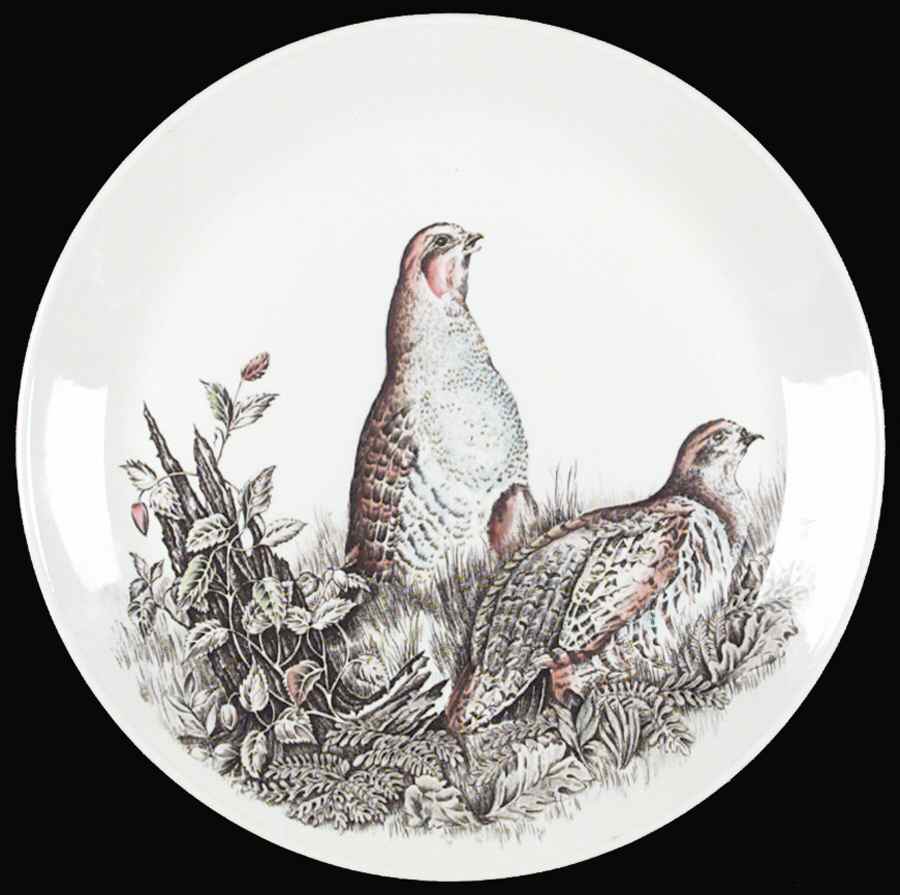 Game Birds White Dinner Plate by Johnson Brothers-1