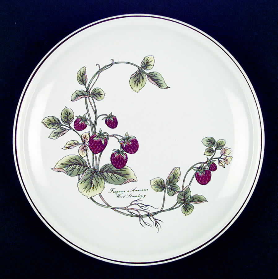 Botanical Garden Dinner Plate by Jepcor-1