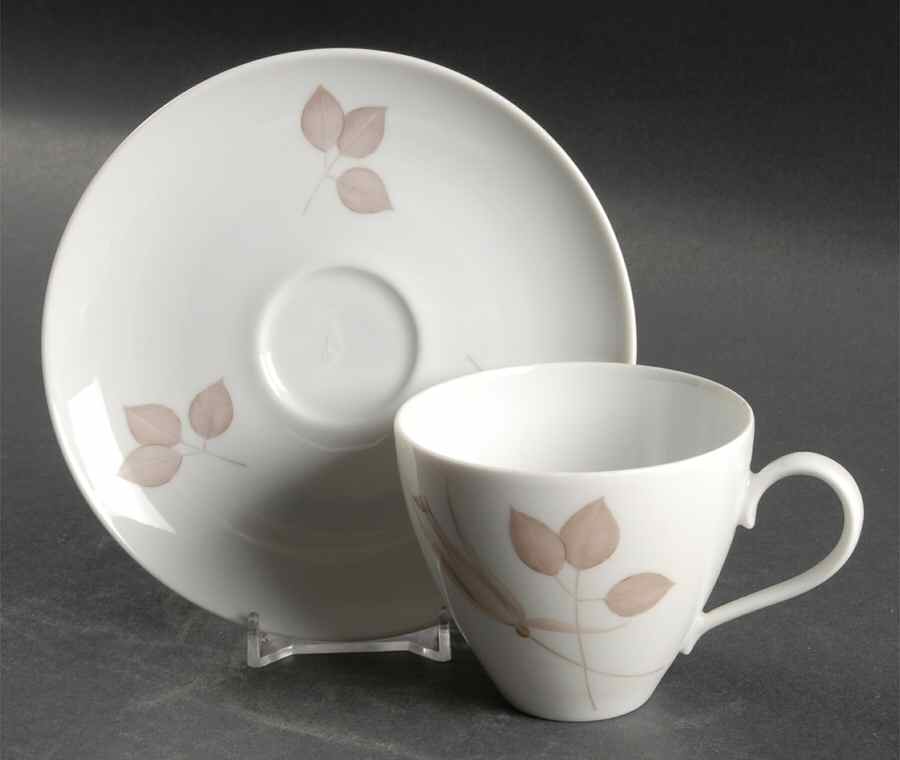 Cinnamon Rose Flat Cup & Saucer Set by Johann Haviland-1
