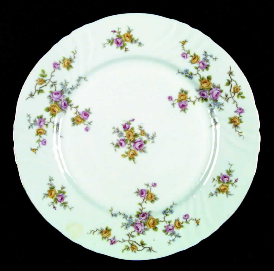Thornrose (White, No Verge) Dinner Plate by Johann Haviland-1