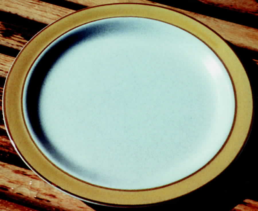 Sahara Dinner Plate by Sears-1