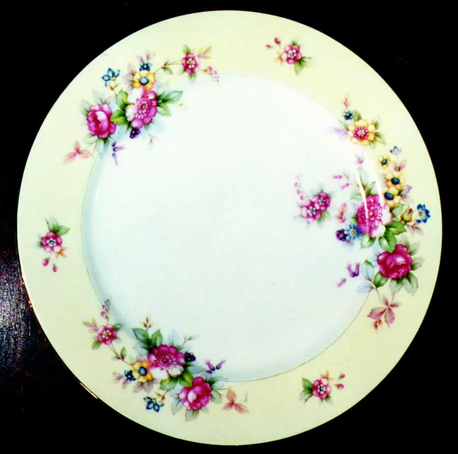 CEB50 Dinner Plate by Celebrate-1