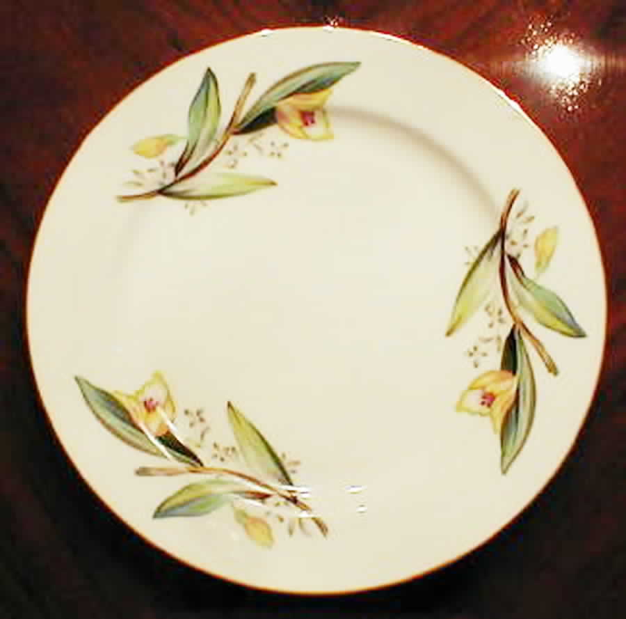 BSJ6 Dinner Plate by BS Japan-1